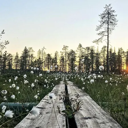 Semesterbostad Jussis A By Interhome Kuusamo