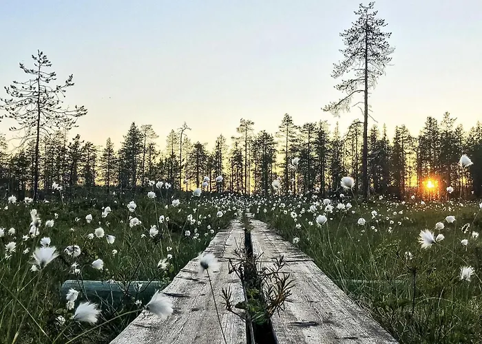 Dom wakacyjny Jussis A By Interhome Kuusamo