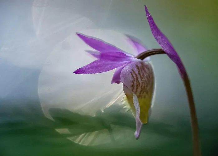 Jussis A By Interhome * Kuusamo